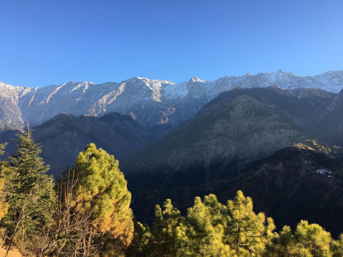 Ess & Bee Resorts Dharamsala Exteriér fotografie