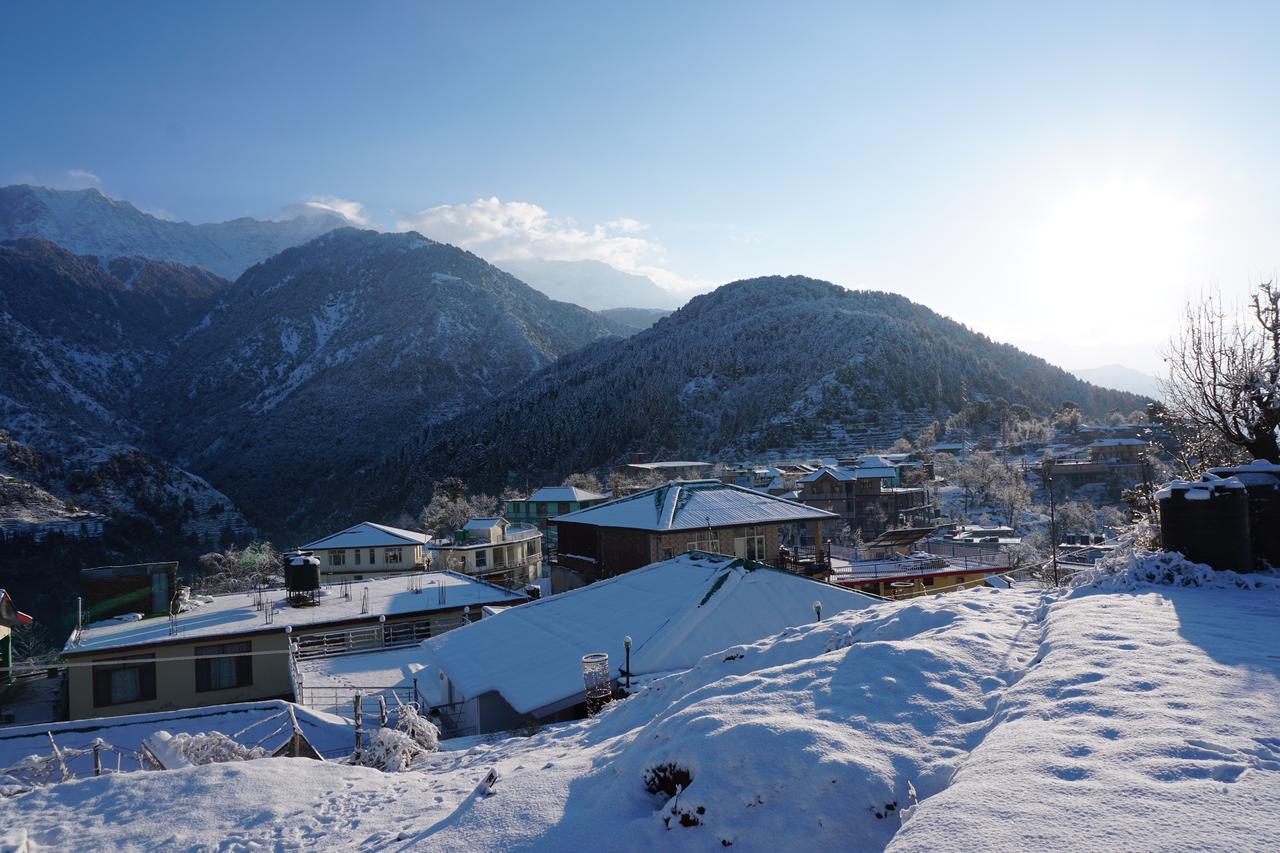 Ess & Bee Resorts Dharamsala Exteriér fotografie